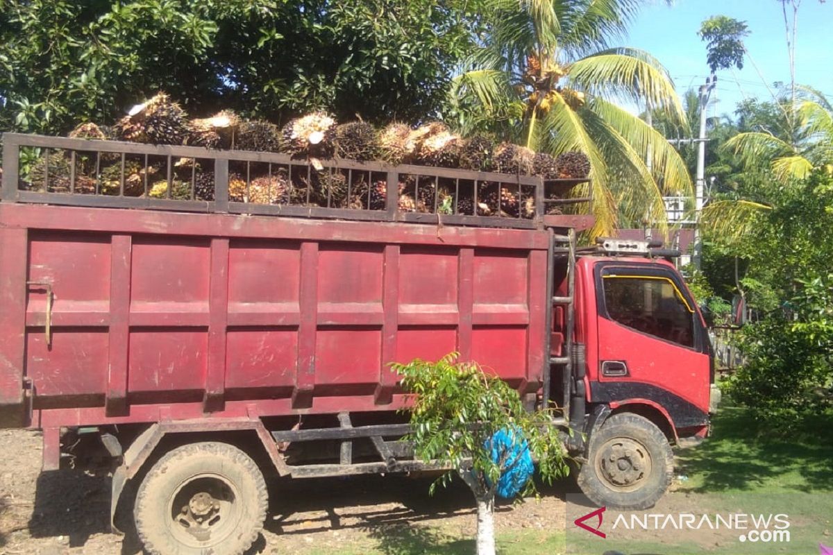 Polres Mukomuko ungkap kasus pencurian sawit perusahaan