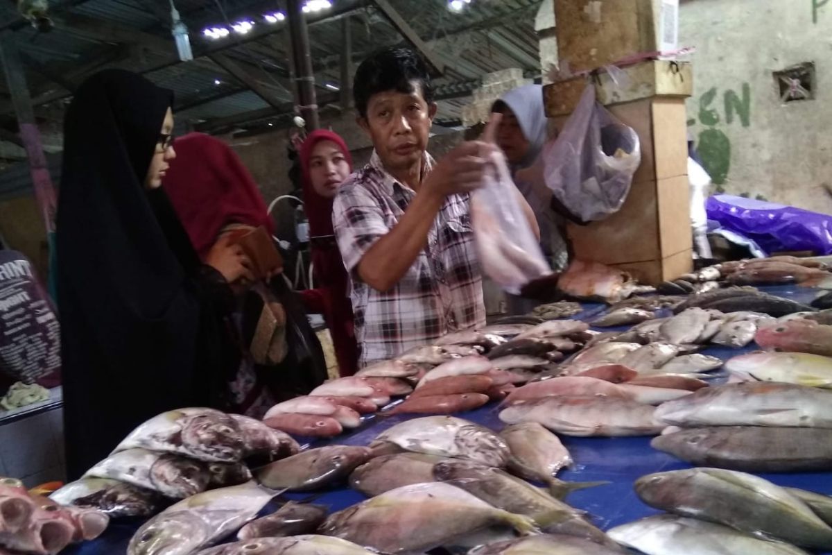 Harga ikan di TPI Paotere Makassar cenderung turun di tengah pandemi