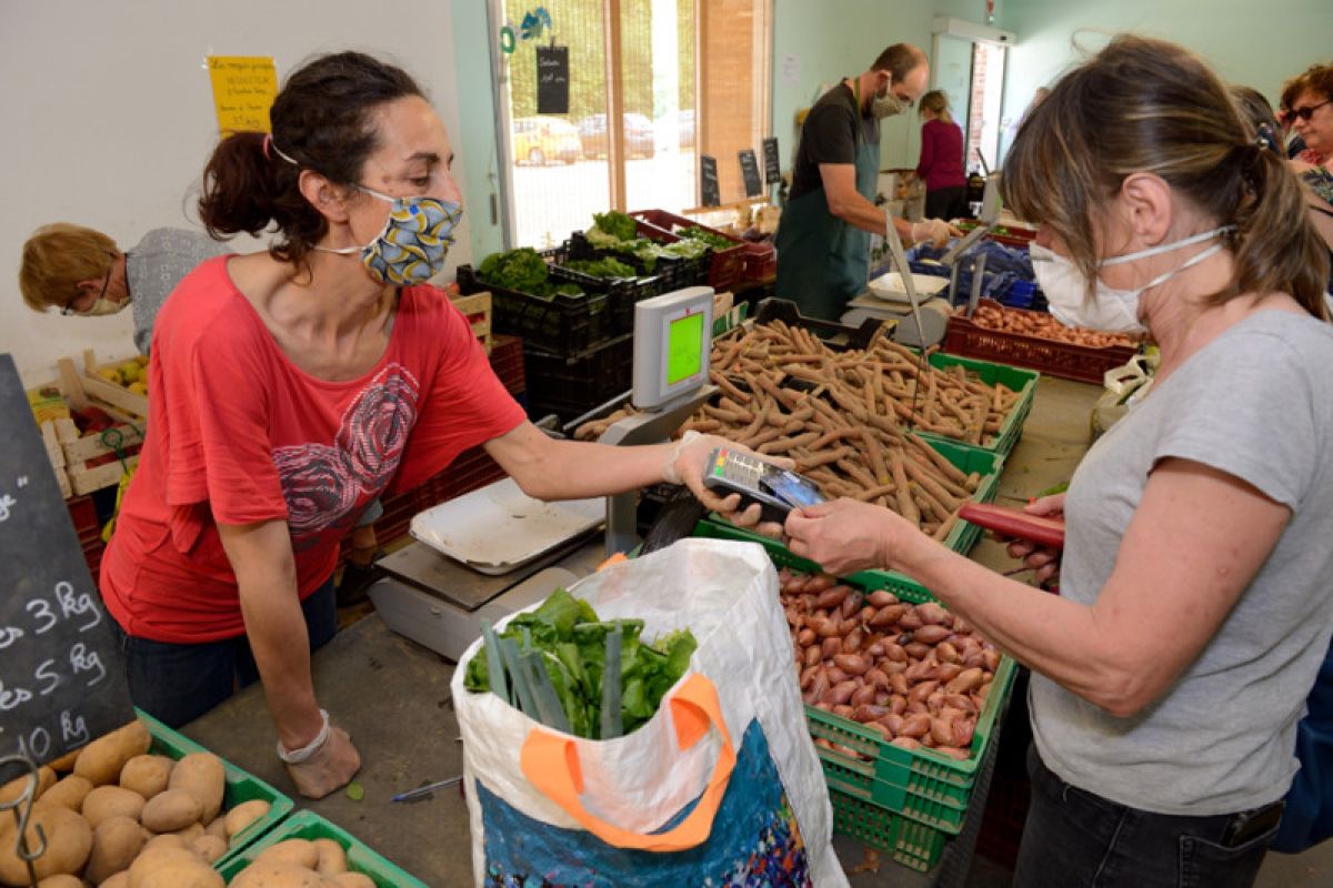 APEC urged to safeguard food security through open trade policies