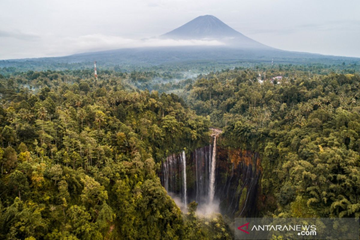 Kemenparekraf prediksi produk ekowisata akan sangat diminati pascapandemi