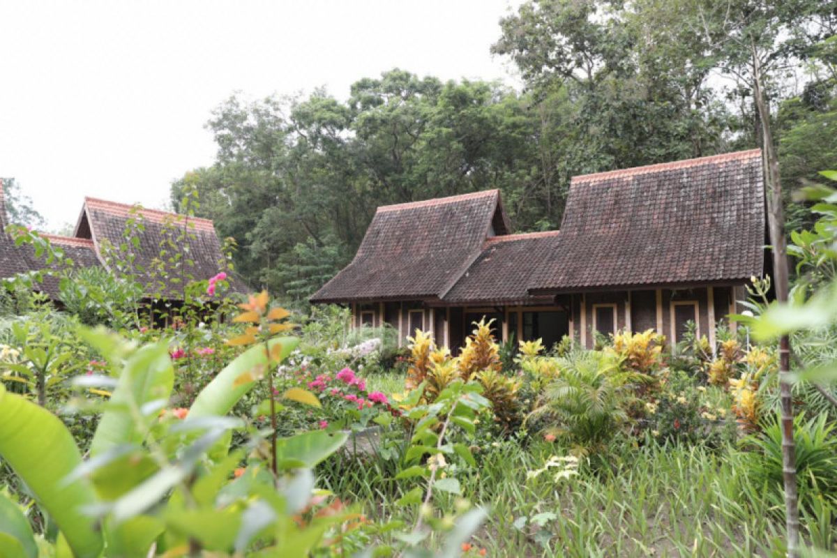 Paviliun Hutan Wanagama jadi tempat karantina pasien reaktif COVID-19