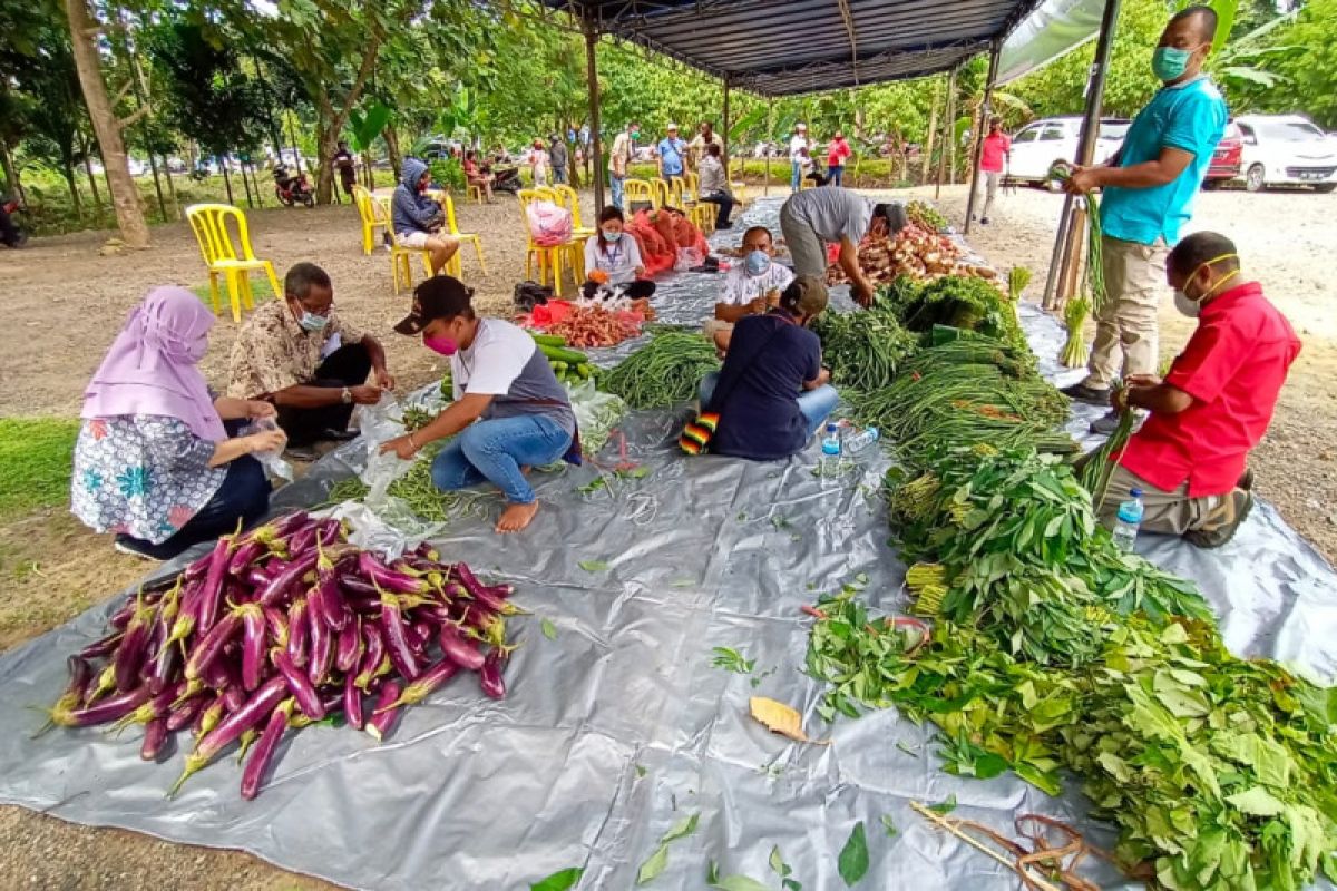 Distrik Yapsi  siapkan 230 hektar lahan pertanian ditengah pandemi COVID-19