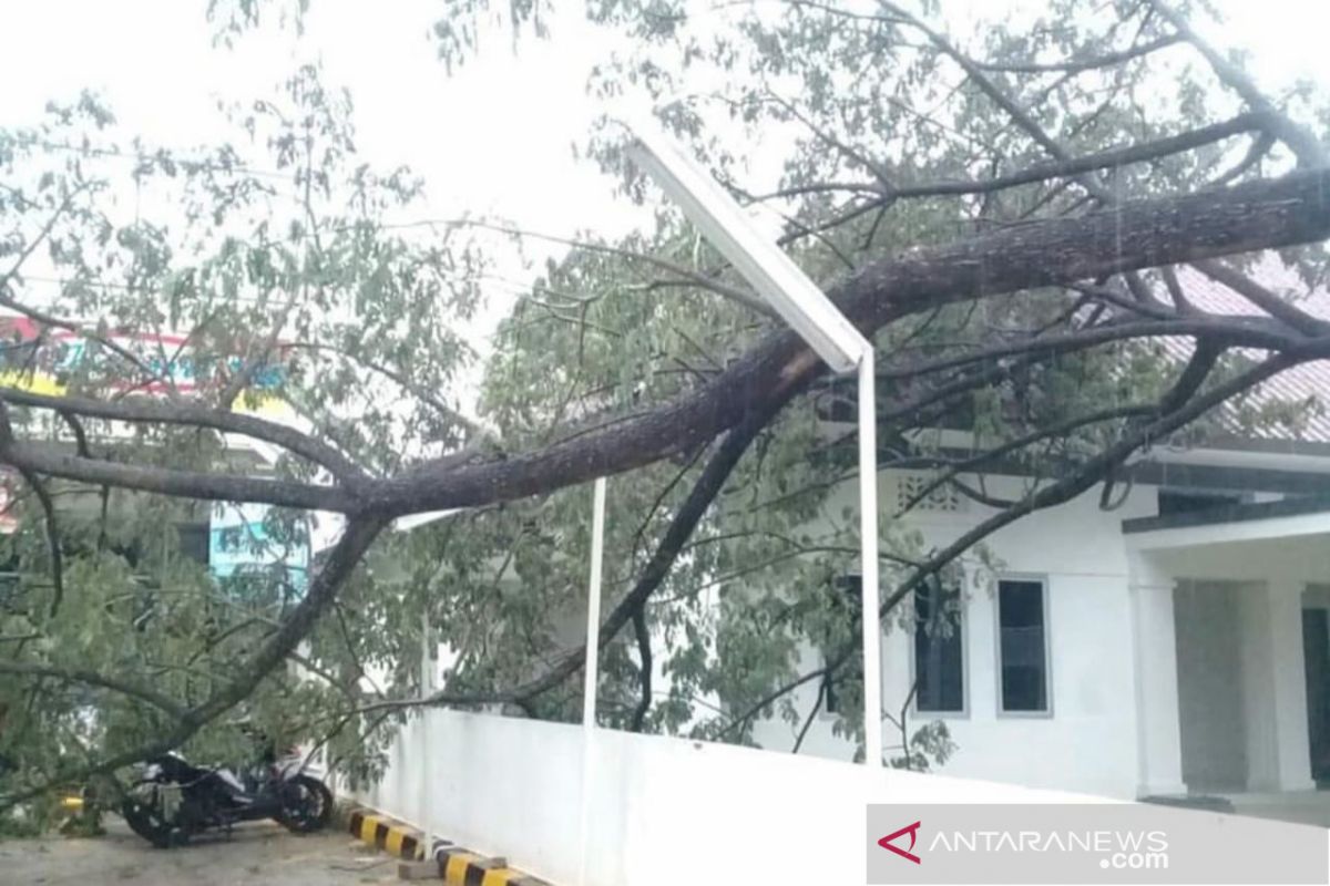 Kota Palembang dihantam angin kencang berkecepatan 72 kilometer per jam