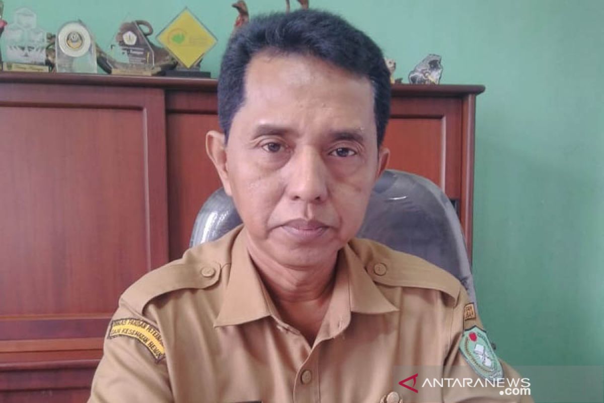 Dinas Pangan pastikan stok daging sapi segar di Kalimantan Barat aman