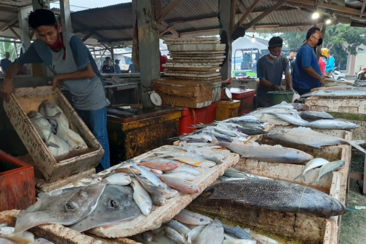 Sepi pembeli, nelayan di Serang bingung mau jual ikan kemana lagi