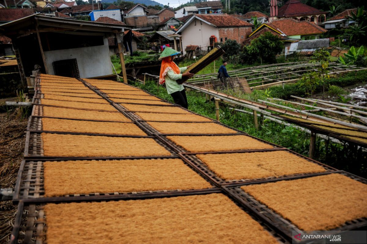 Pengamat: Jika terbukti kecil risiko, cukai HPTL bisa lebih rendah