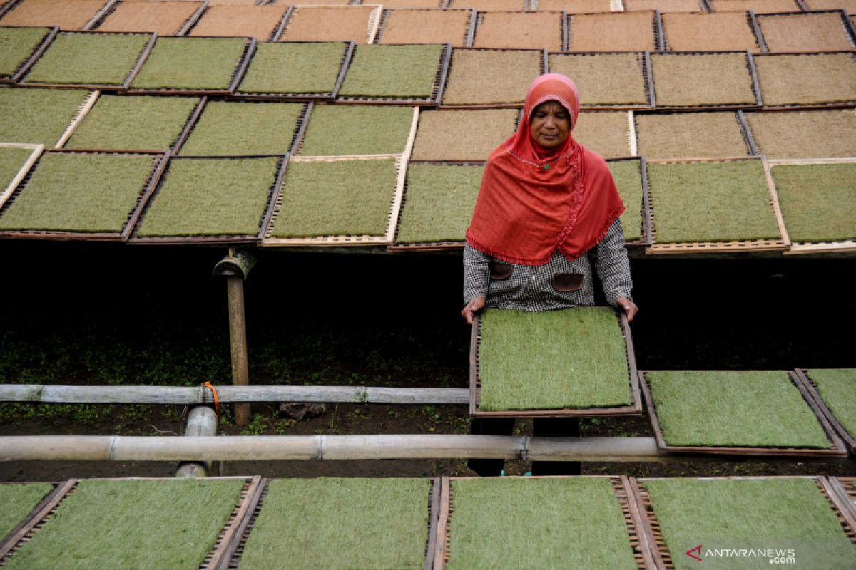 Organisasi buruh  harap pemerintah pertimbangkan kembali kenaikan cukai