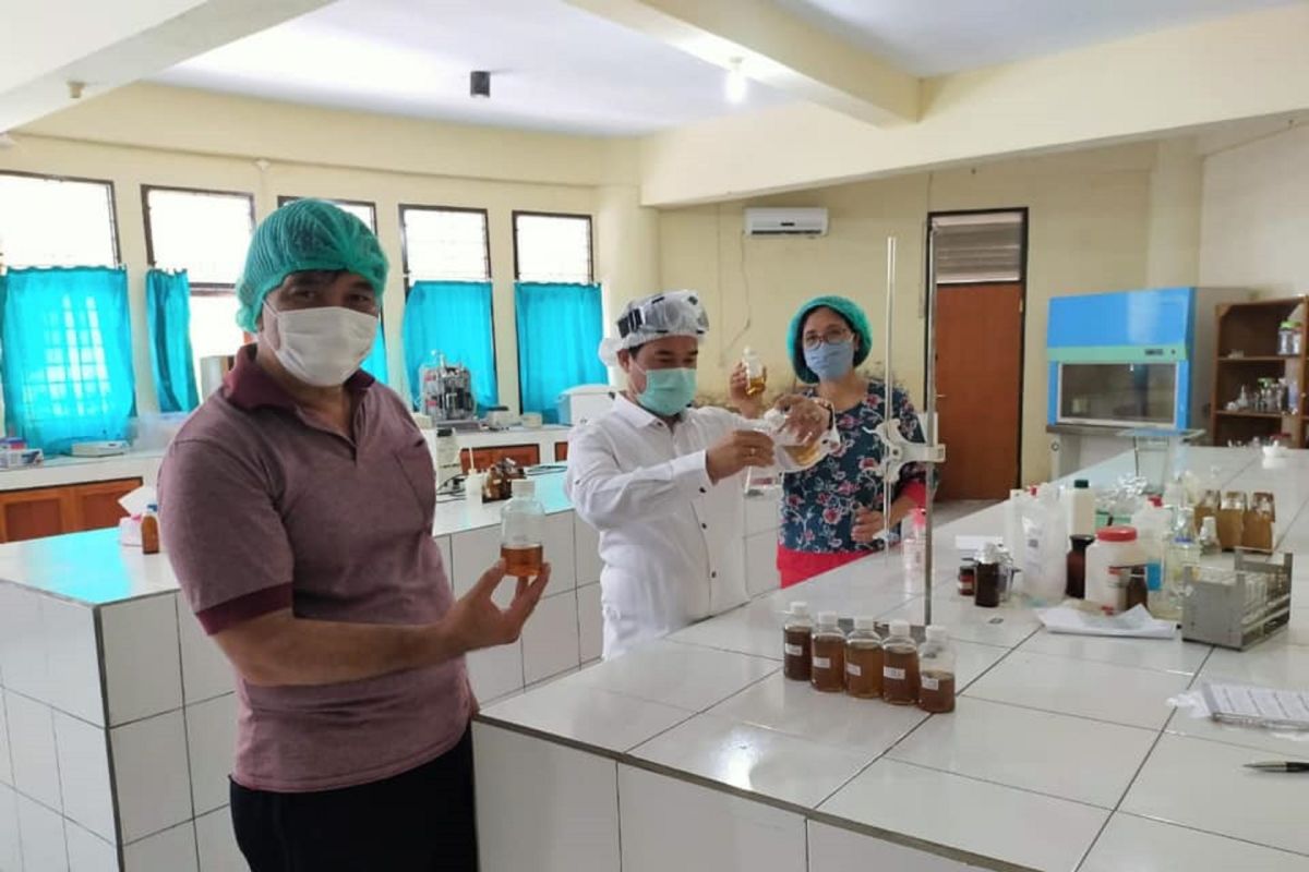 Sulawesi Utara akan memproduksi disinfektan organik dari cengkih-kelapa