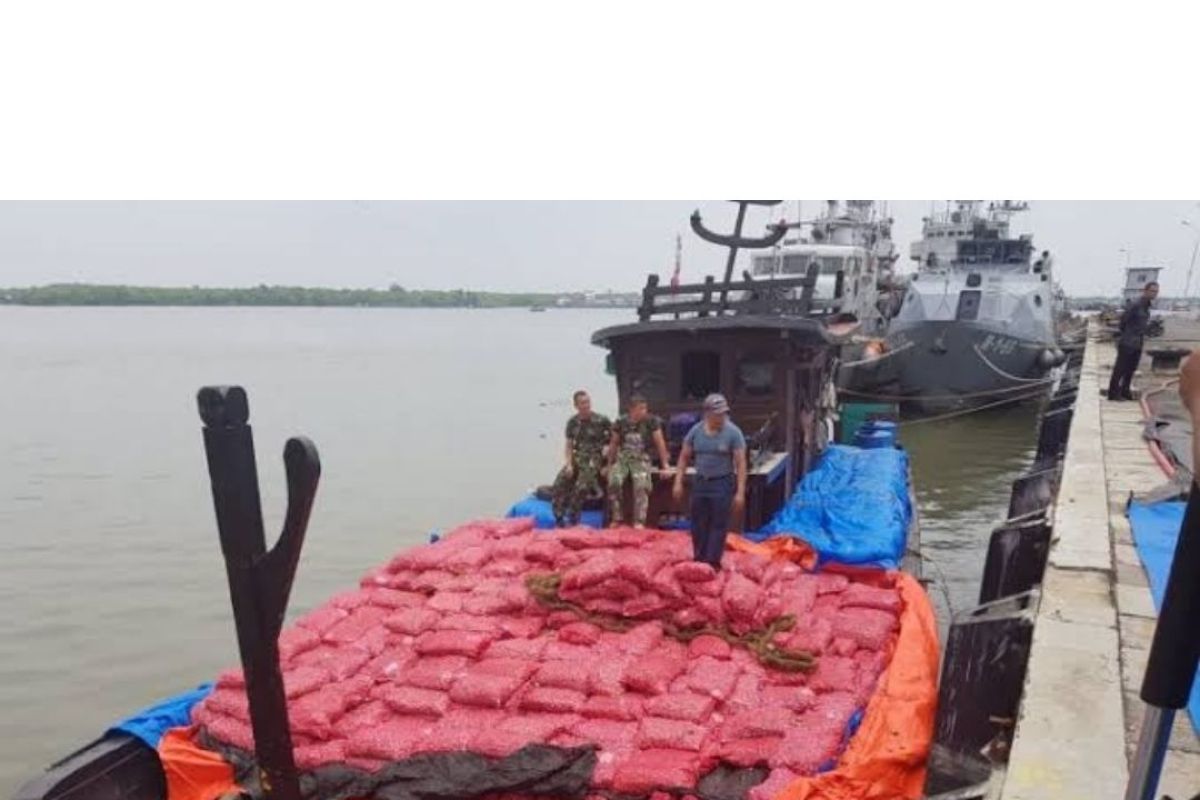 TNI AL gagalkan penyelundupan 25 ton bawang merah ilegal