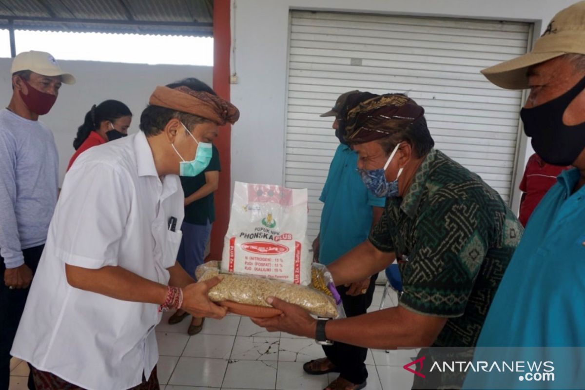 Pemkot Denpasar bantu pupuk ke petani ditengah COVID-19
