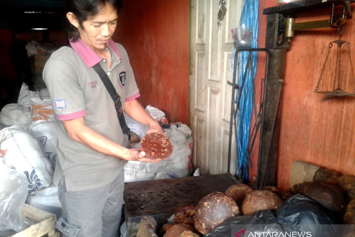 Penjualan gula aren di Rejang Lebong stabil Rp16.000 per kilogram