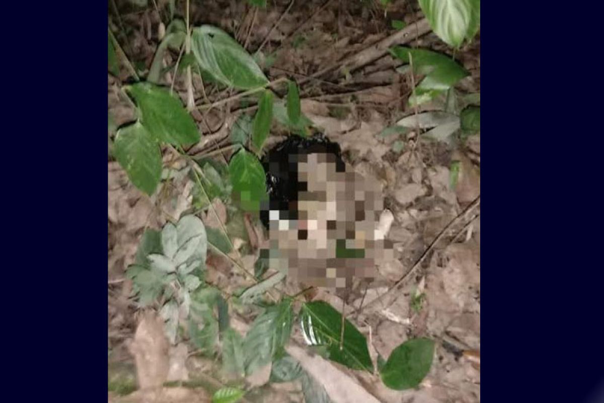 Polres Barito Utara selidiki penemuan mayat bayi laki-laki