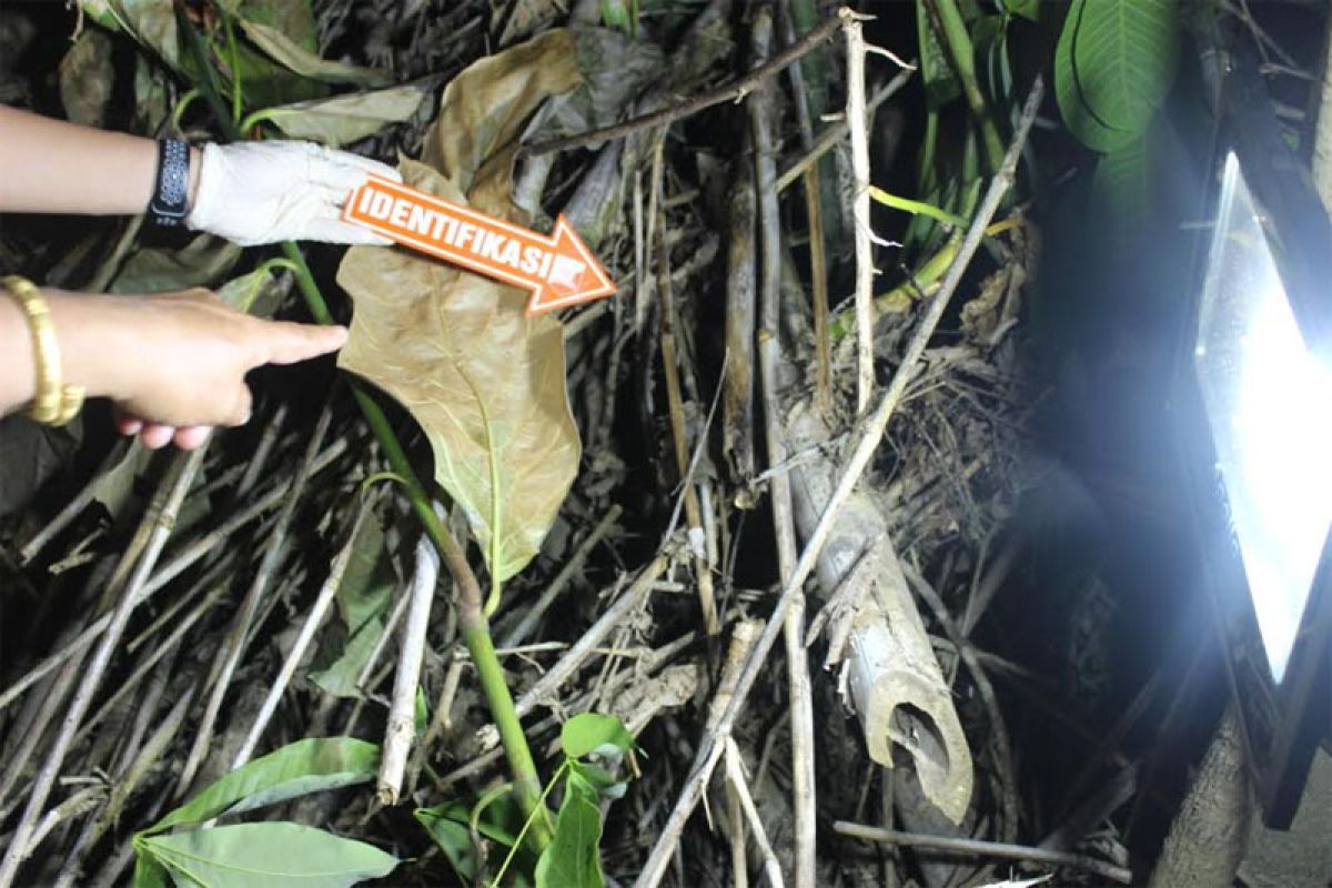 Bidan ini tega bunuh bayi hasil hubungan gelap