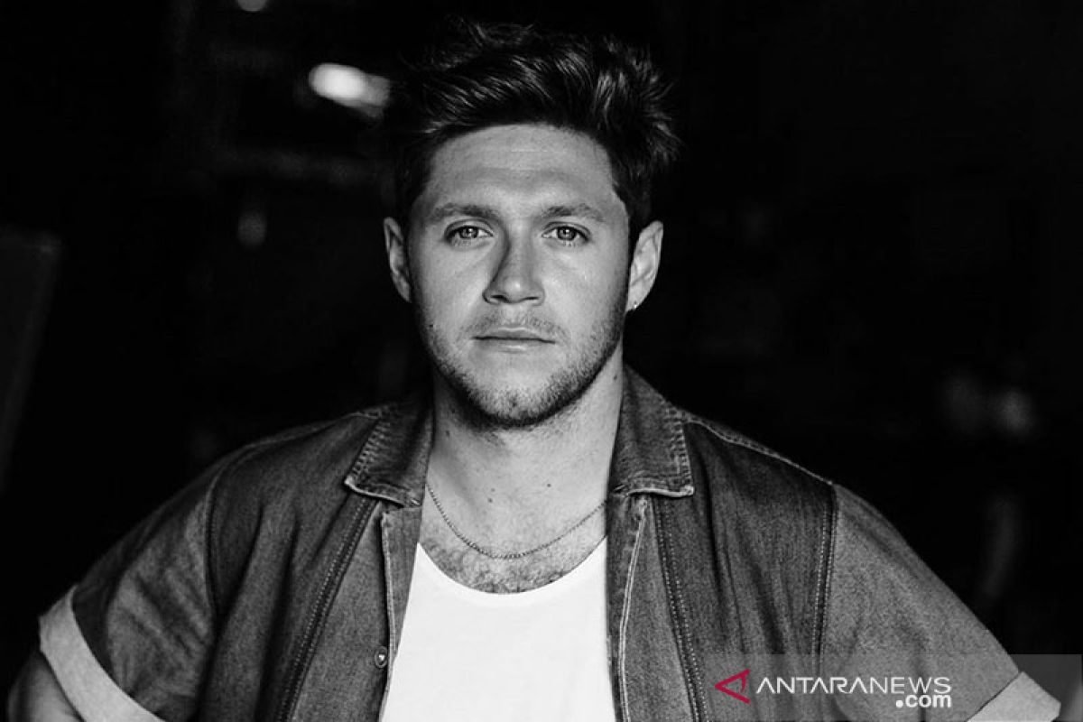 Niall Horan desak penggemar hentikan perbincangan reuni One Direction