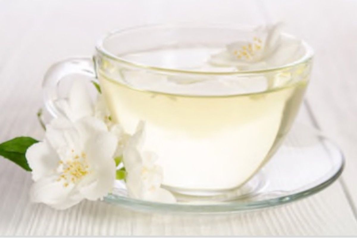 Kurang populer, teh putih simpan segudang khasiat