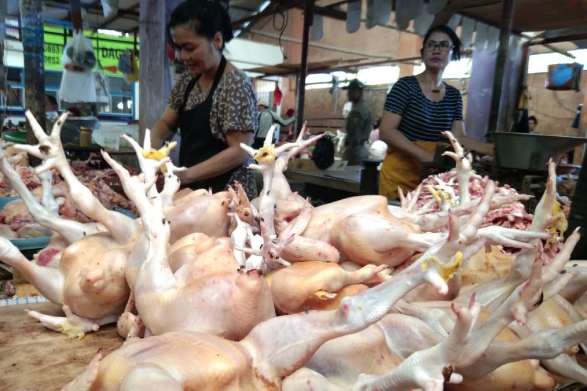 Pasokan kian menipis, harga ayam potong di Palangka Raya 'meroket' hingga Rp70 ribu per kilogram
