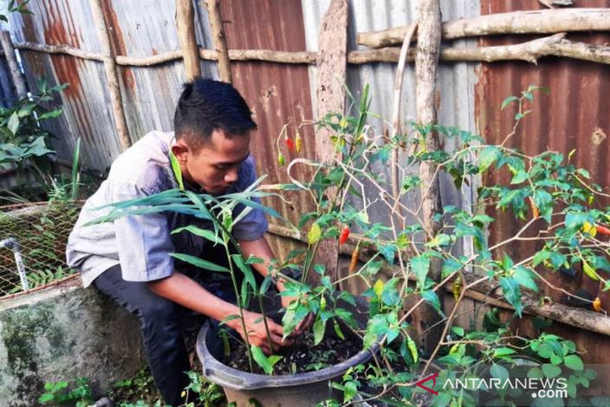 Mahasiswa Polbangtan Medan mengabdi demi ketahanan pangan rumahtangga