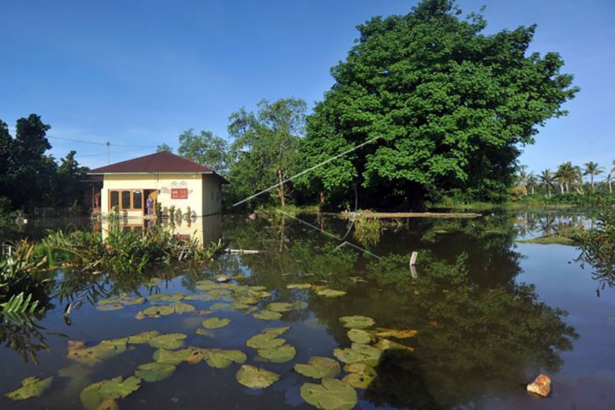 Kawasan pesisir pantai selatan Malang dilanda banjir rob