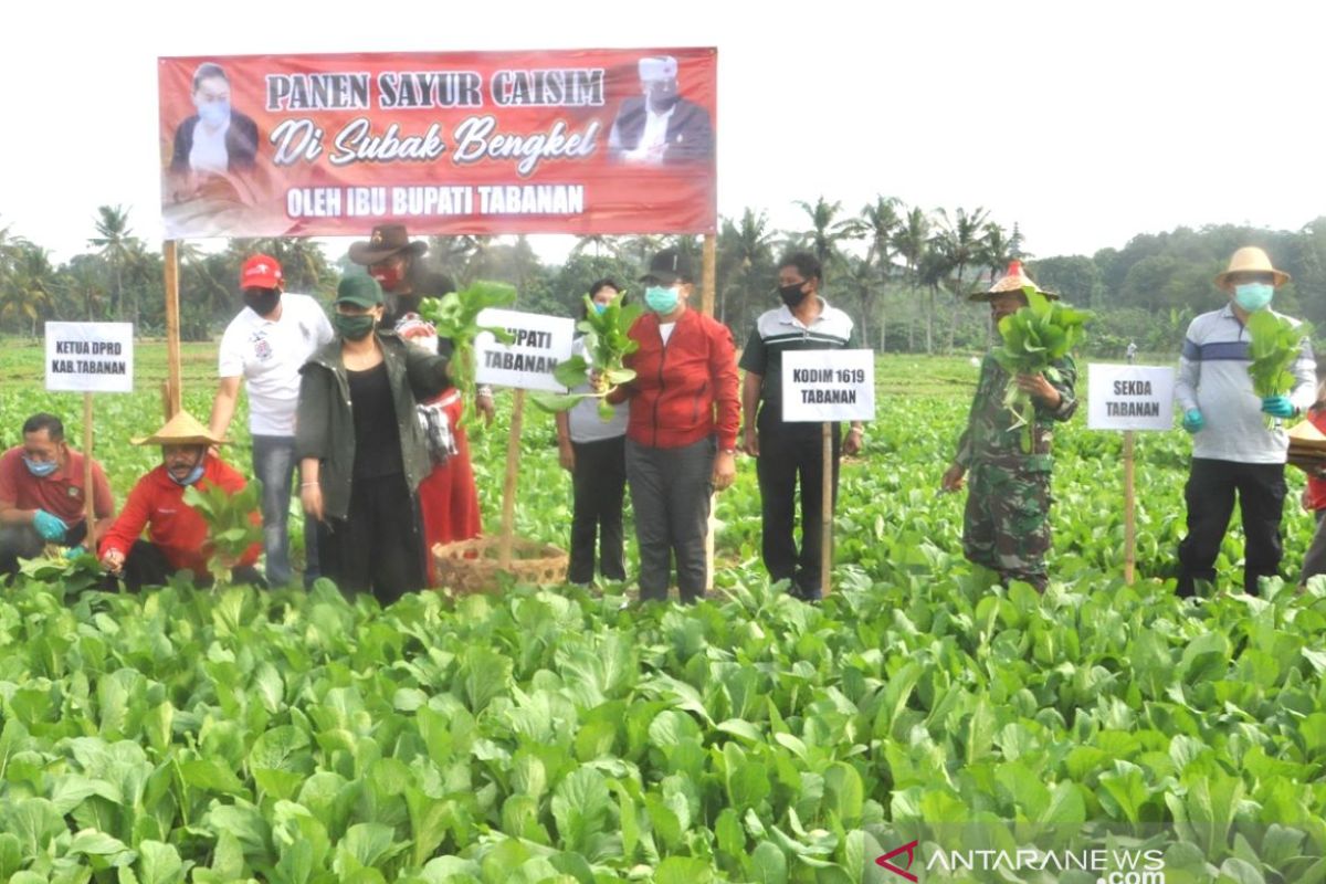 Pemkab Tabanan siap bantu petani dan peternak di tengah COVID-19