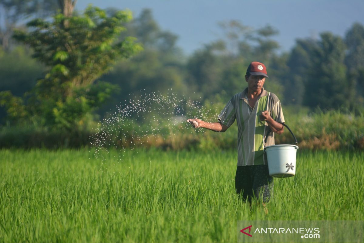 Pusri luncurkan Program Agro Solution, bantu petani dongkrak produksi