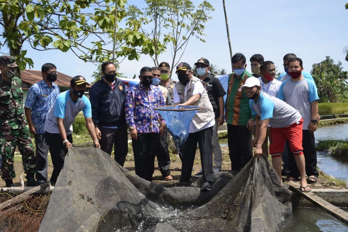 Karang Taruna di Padang budidayakan ikan air tawar, hasil panen capai satu ton