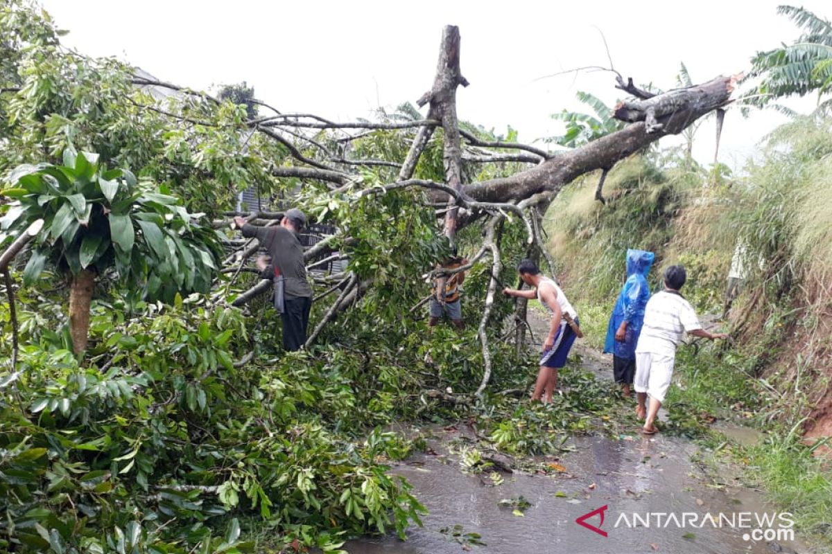 Hujan deras di Kota Bogor memicu 12 bencana dalam sehari