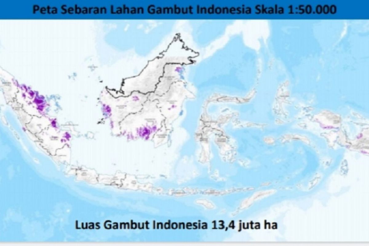 Balitbangtan telah lakukan pemutakhiran peta lahan gambut