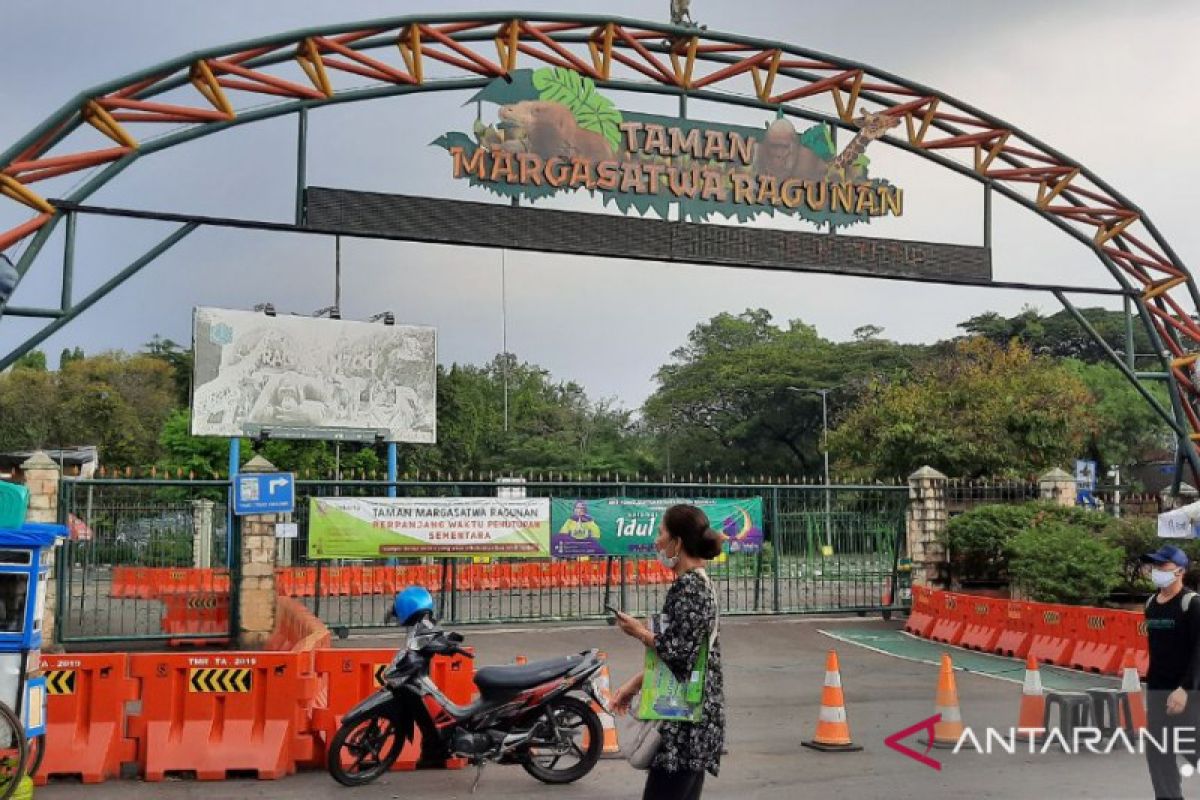 Taman Margasatwa Ragunan akan batasi pengunjung 5.000 orang per hari