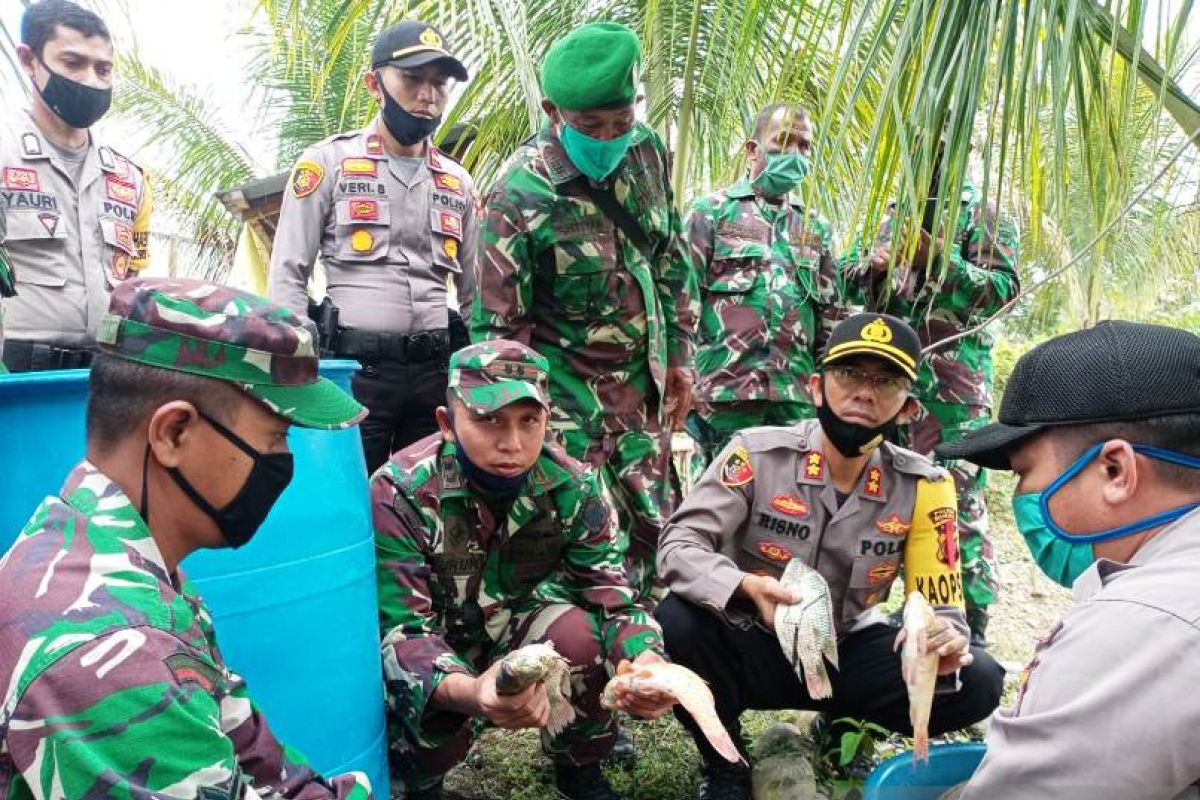 Polres Nagan Raya budidaya ikan tawar untuk ketahanan pangan