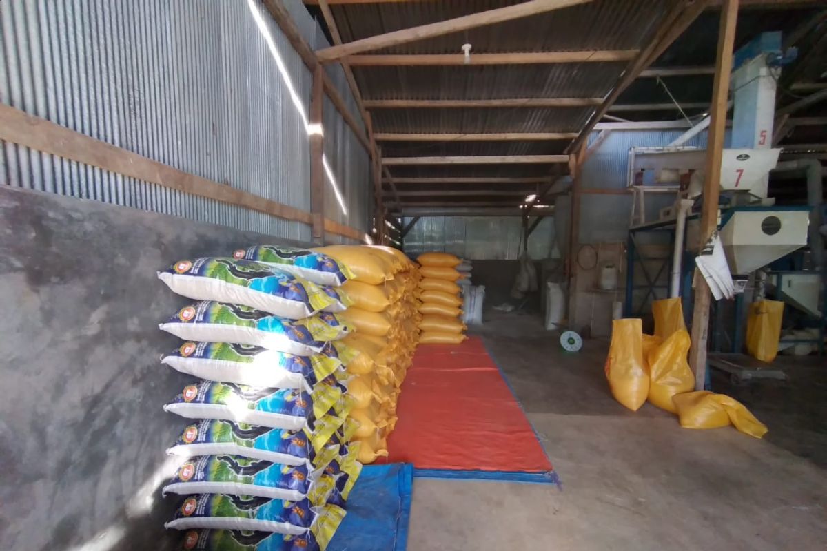 Sebanyak 7.000 ton beras tersedia di gudang Bulog Sultra