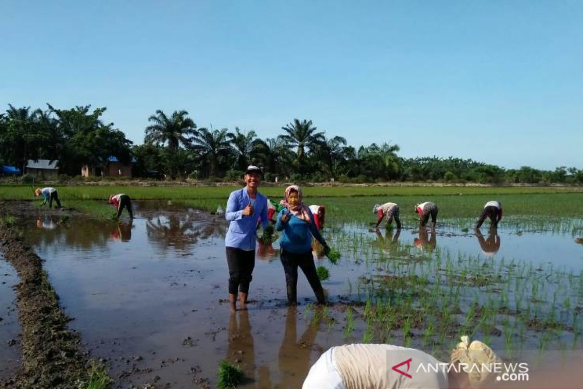 Polbangtan Medan dampingi petani dukung program Menteri Pertanian