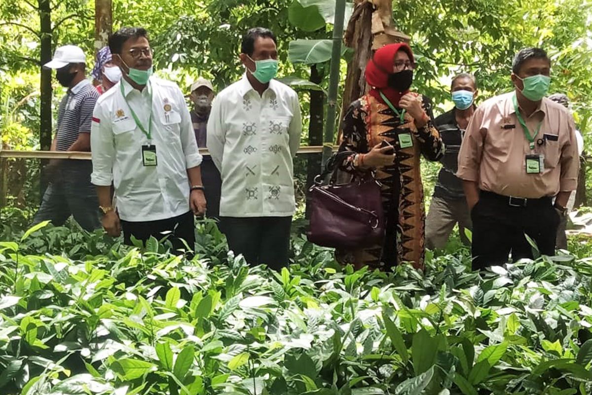 Mentan minta Provinsi Maluku bangun gudang beras sendiri