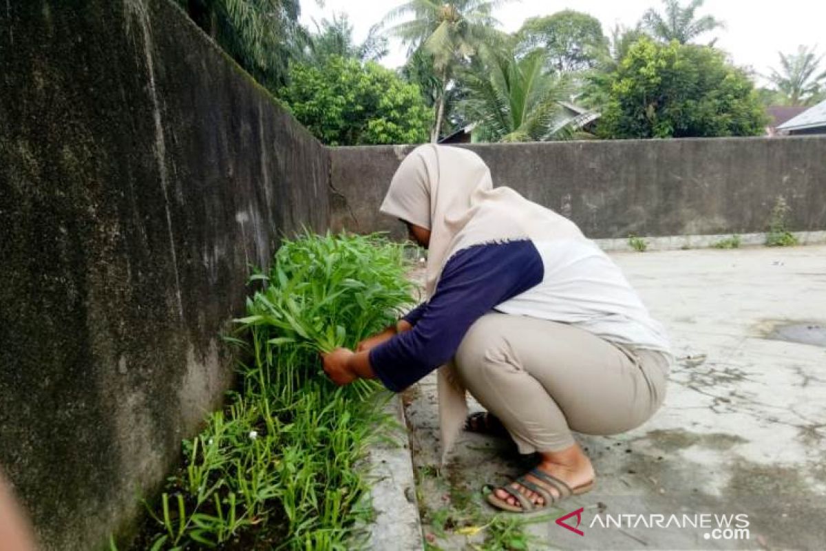 Mahasiswi Polbangtan sebut 1 meter lahan kosong cukup berarti untuk kehidupan