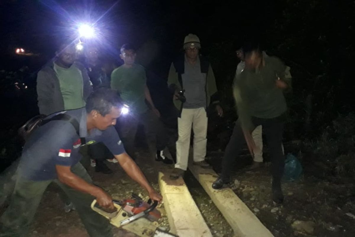Tim BKPH Blangpidie musnahkan kayu olahan ilegal di hutan Abdya