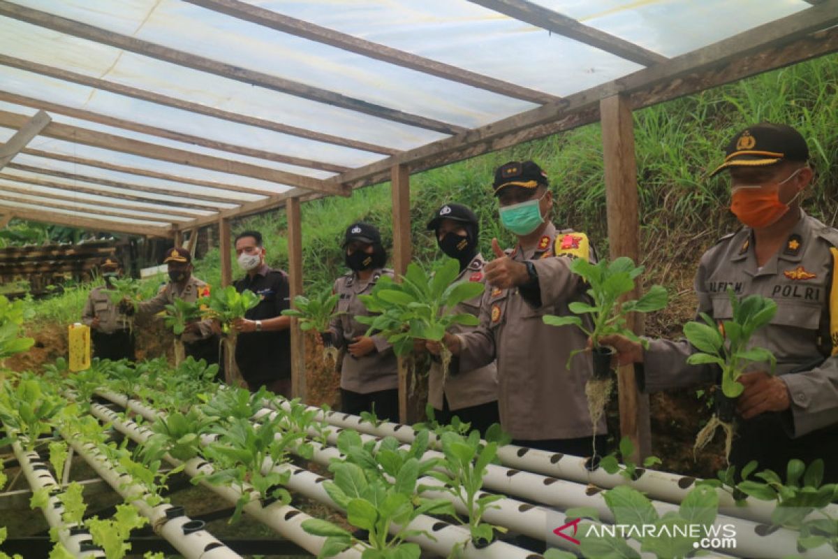 Polres Lingga budidaya lele tanam jagung hingga hidroponik