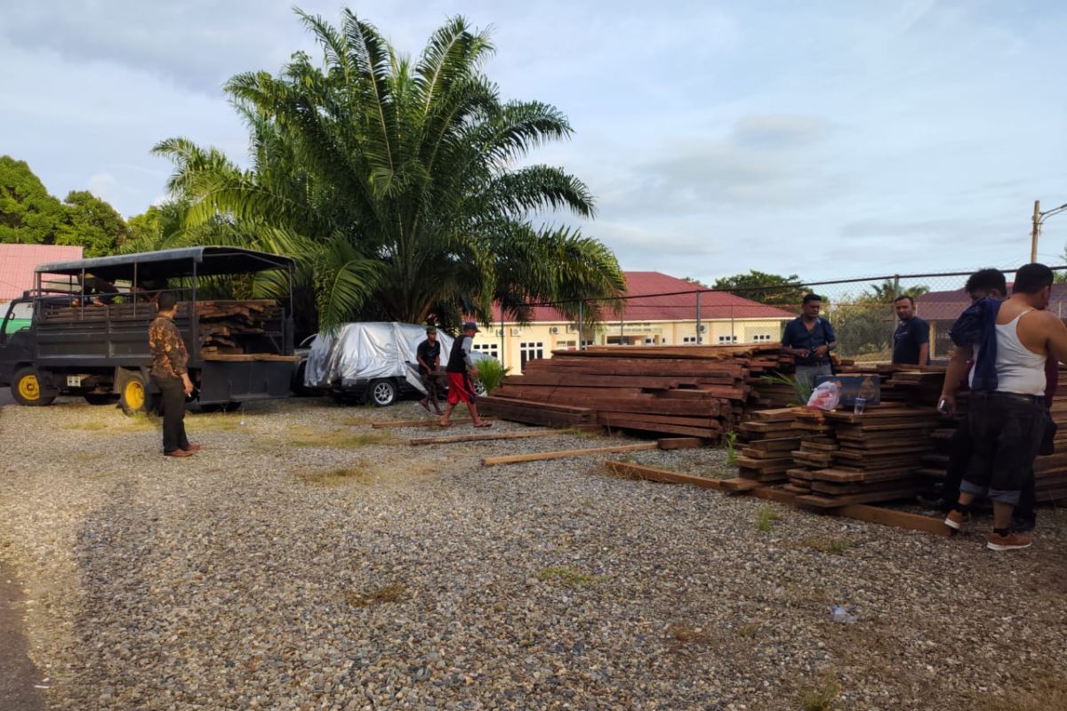 Polisi tangkap pelaku illegal logging di Abdya