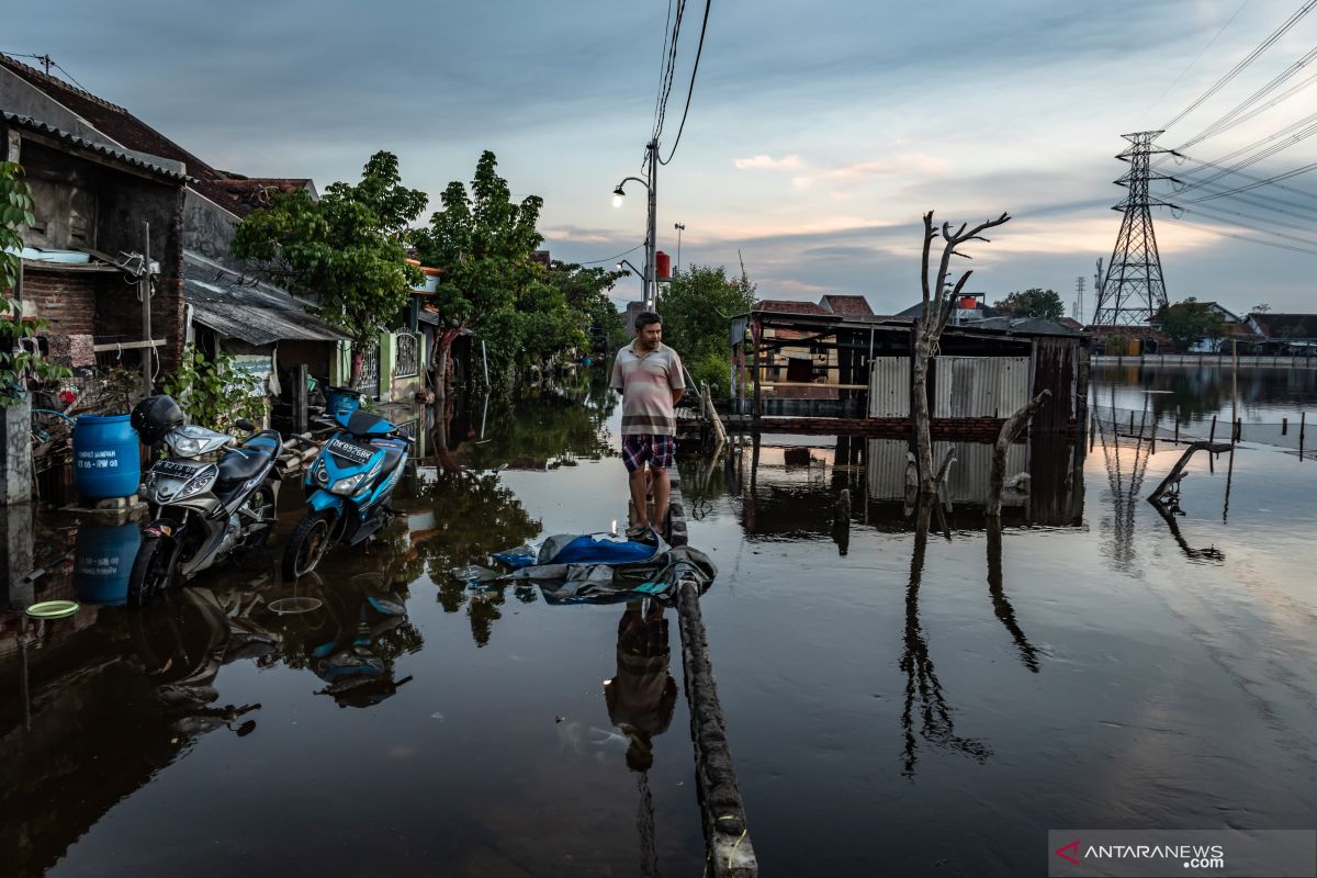 DPRD Jateng dorong peningkatan perbaikan RTLH terdampak rob