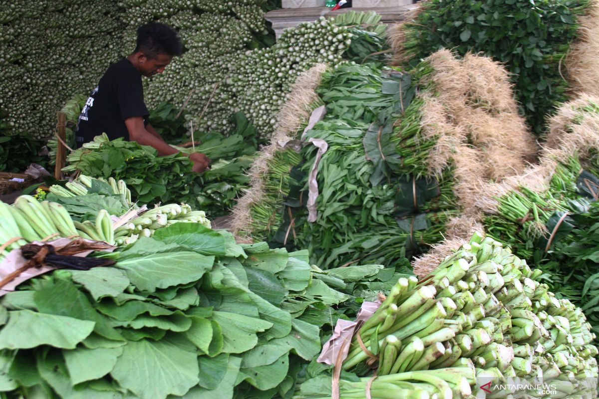 Pemuda Tani Sulut harap pemerintah bantu pemasaran hortikultura petani