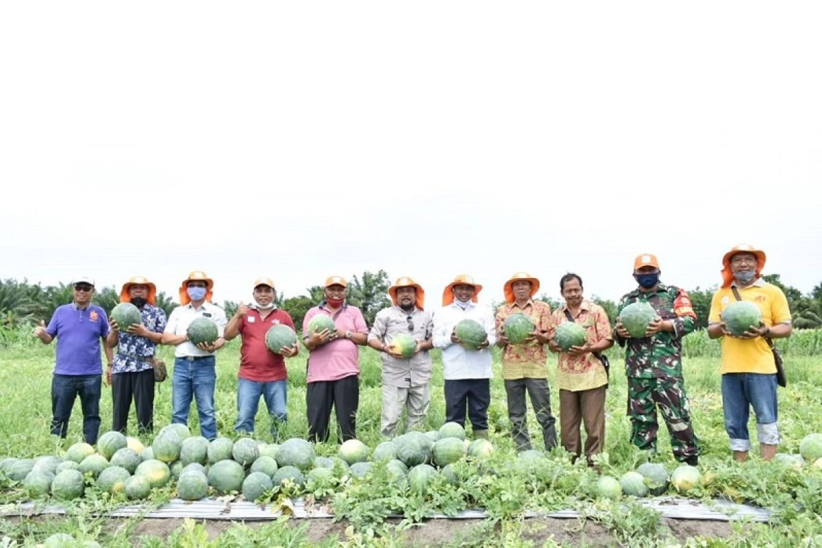 Masyarakat diminta manfaatkan lahan 