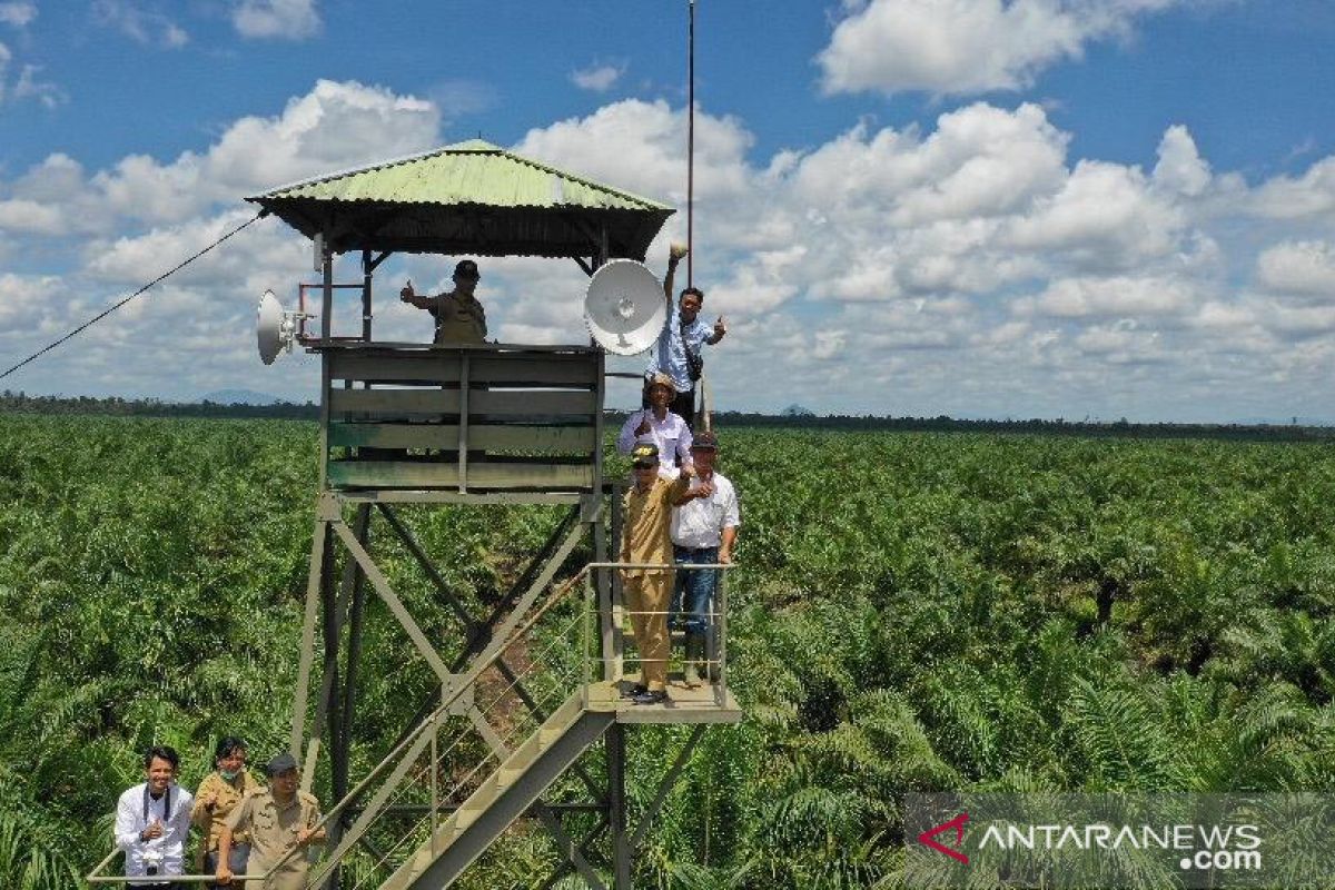 Harga sawit di Kalbar kembali turun terdampak pandemi COVID-19