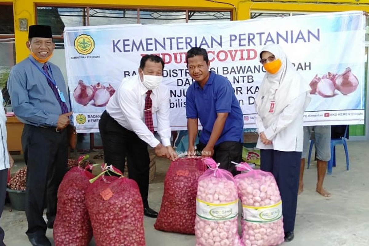 5 Ton Bawang Merah Bima Masuk Kaltara