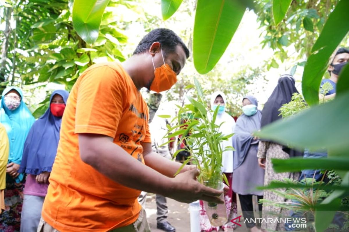 Pemprov Sulsel bantu bibit sayur untuk ketahanan pangan keluarga masa pandemi COVID-19