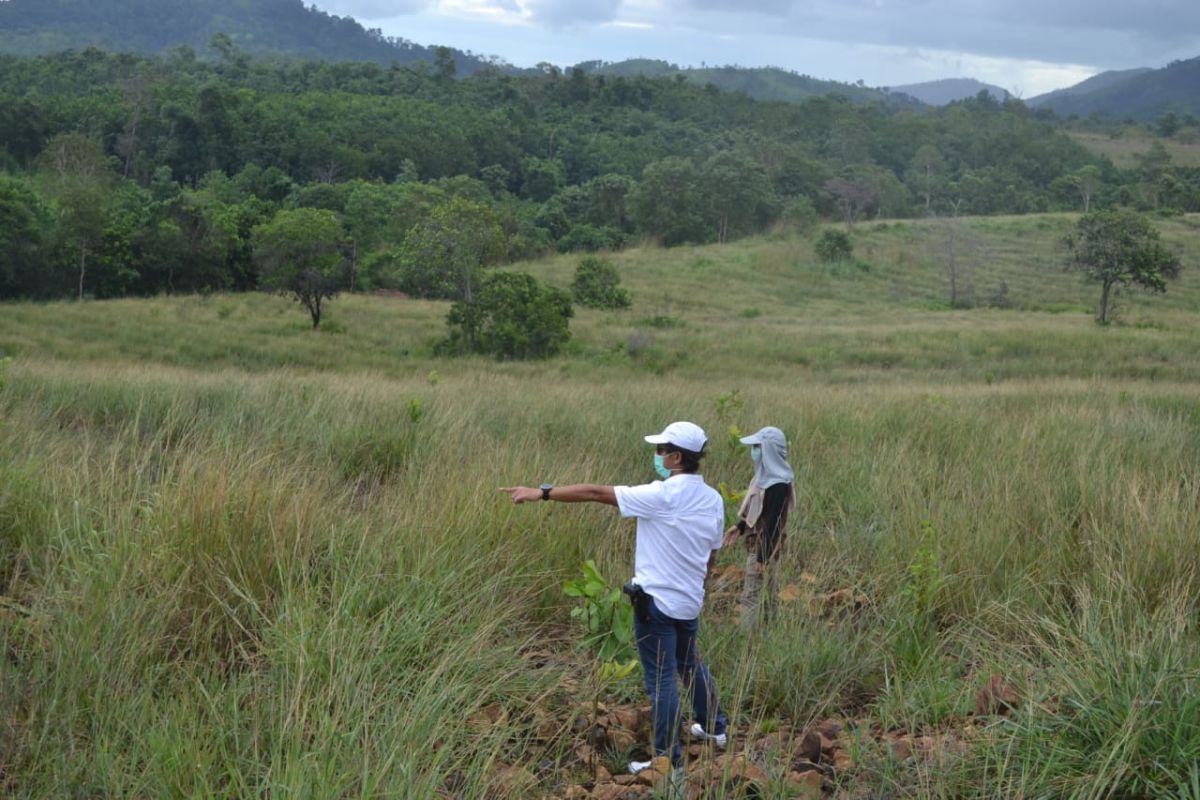 Kadishut minta seluruh tim waspadai kebakaran hutan