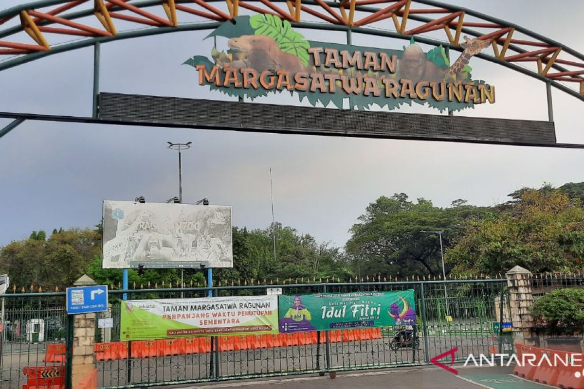 Hadapi normal baru, Ragunan siapkan keset disinfektan untuk pengunjung