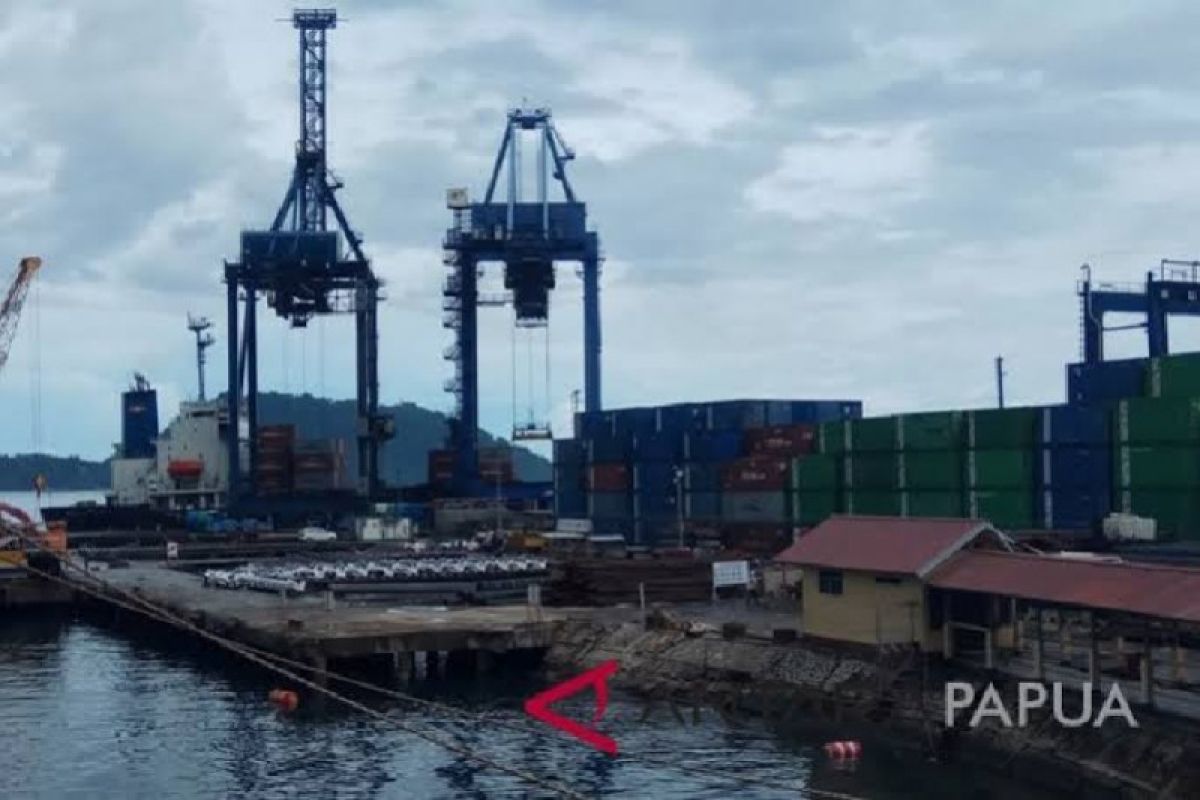 BPS: Tidak ada penumpang di pelabuhan Papua selama pandemi COVID-19