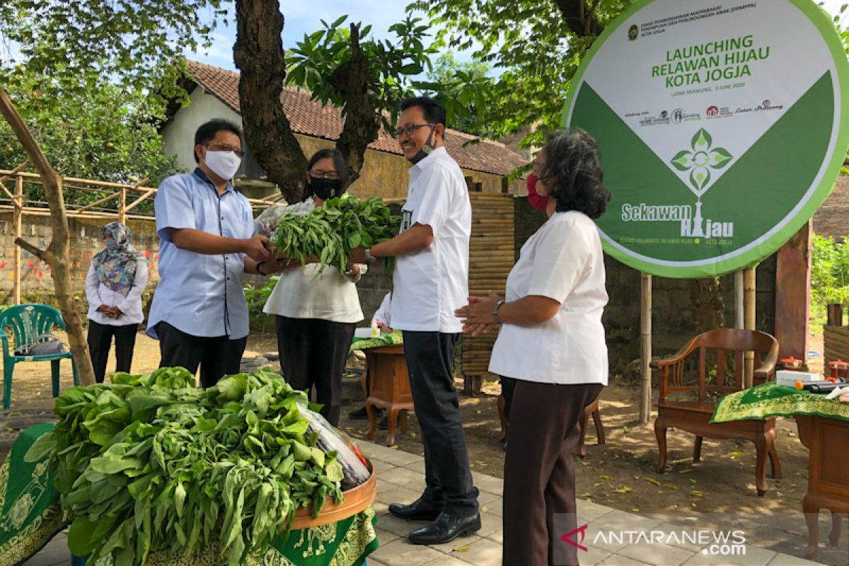 Relawan Hijau bentuk gotong royong ketahanan pangan warga Yogyakarta