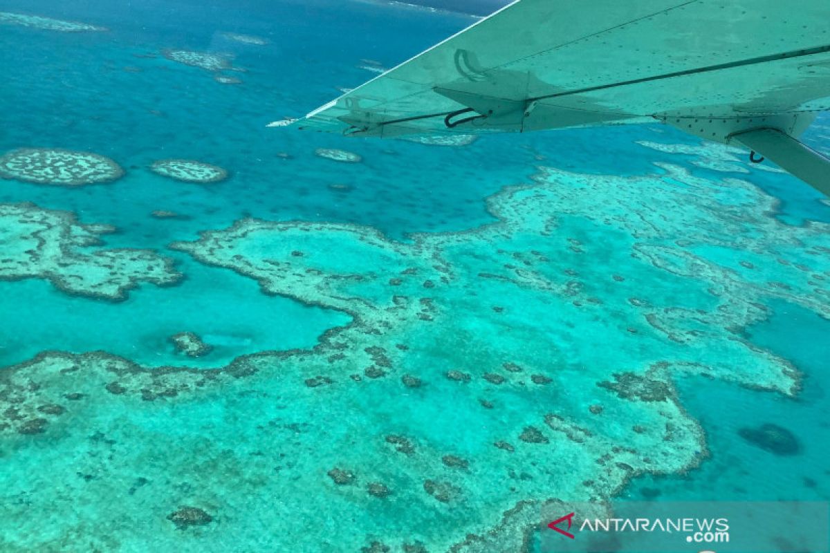 Great Barrier Reef Australia keluar dari daftar bahaya UNESCO