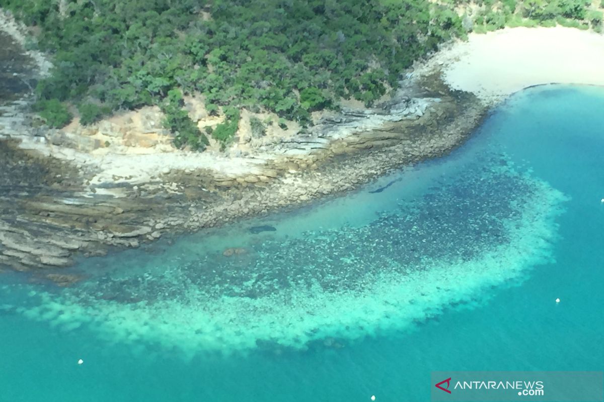 PBB usul Great Barrier Reef Australia masuk daftar kategori 'dalam bahaya'