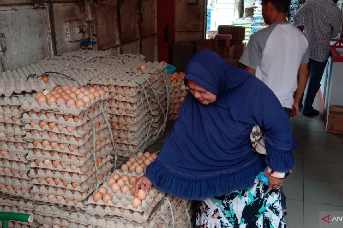 Harga telur ayam naik menjadi Rp39 ribu di Banda Aceh