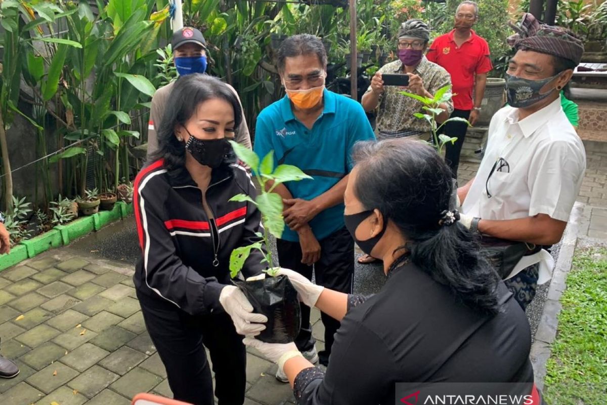 PKK Denpasar bagikan bibit cabai untuk lahan pekarangan masyarakat